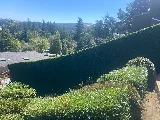 Ascent Yard Care photo 6