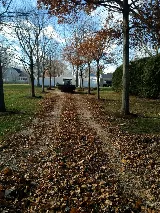 Reinhart Landscaping & Snow photo 4