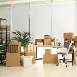 People-Move Moving photo 8