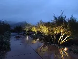 Desert Rain Landscaping & Services photo 7