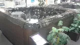 Rockford Pool & Spa photo 5