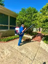 Bug Guys Pest Control photo 5