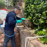 No Bugs Termite and Pest Control Inc. photo 2