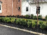 Juarez landscaping LLC photo 7