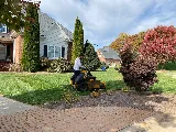 Perez Lawn Care LLC photo 2