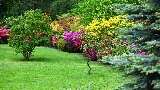 New Garden Landscaping & Nursery photo 4