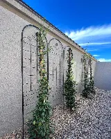 Visualized Landscape photo 7