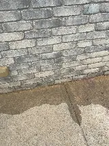 Titan Pest Pro - Springfield photo 7