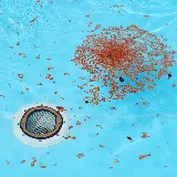 Rocket City Pool & Spas photo 8