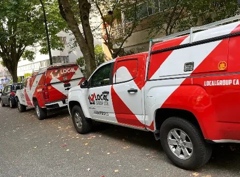 Local Pest Control Ltd photo 1