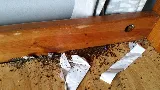 Bug Bakers of Columbus photo 7