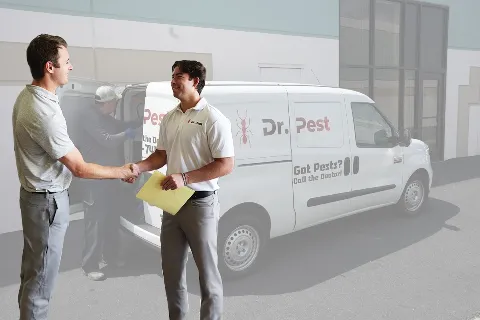 Dr. Pest in Newport Beach