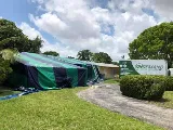 On Demand Pest Control photo 6