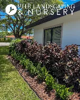 PHB Landscaping & Nursery photo 8