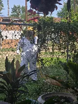 BUGWORKS Termite & Pest Control Company photo 6