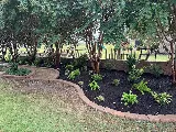 Complete Landscape & Design photo 4