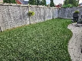 Honey Bee Lawn and Garden photo 3