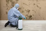 Bug Force Pest Control photo 2