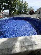 Parrot Pool Service photo 3
