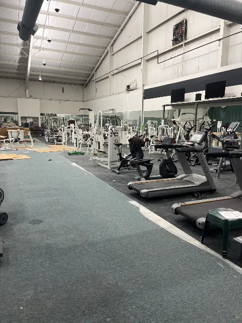 Affordable Muscle Movers photo 1