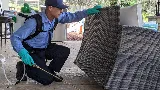 Defense Pest Control