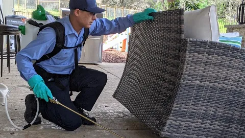 Defense Pest Control in Rocklin