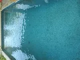 Grand Prairie Pool Cleaning photo 3