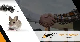 Eradik Extermination