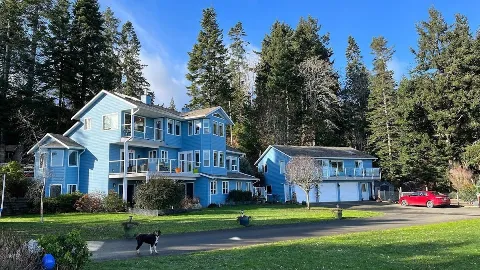 Tartan Window Cleaning in Courtenay