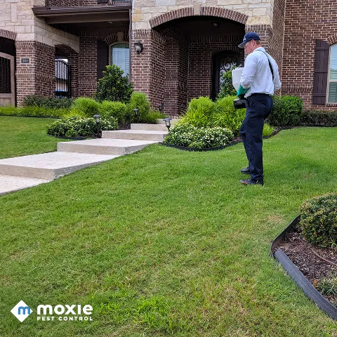 Moxie Pest Control photo 1
