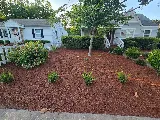 Vinedresser Lawn and Landscape Maintenance photo 3