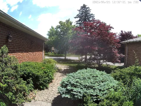 Honey Bee Lawn and Garden photo 1