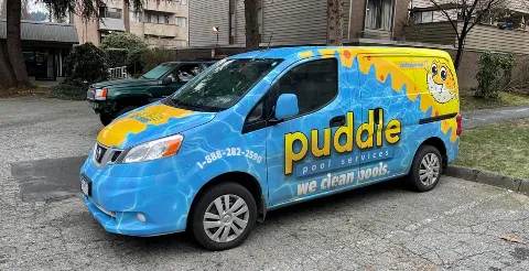 Puddle Pool Services in Whitby