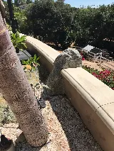 Advanced Concrete Exteriors photo 8