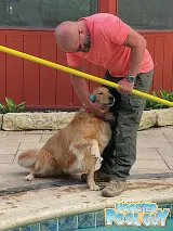 Hoosier Pool Guy photo 5