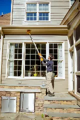 Pest & Termite Consultants photo 4