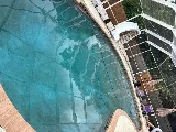 Sunny Blue Pros Pool Cleaning photo 6