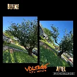 Voltage Tree & Lawn photo 3