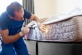 Wayne's Pest Extermination Ottawa photo 3