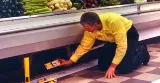 Western Exterminator photo 7