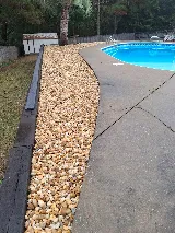 Miguel Landscaping photo 6