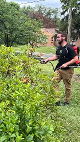 Mantis Pest Control of St. Louis photo 3
