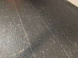 Audubon Pest Control LLC photo 4