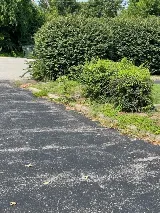 Executive Landscape Services LLC photo 6