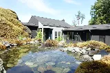 Dream Team Landscaping photo 8