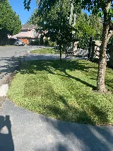 New View Landscaping Ltd photo 7