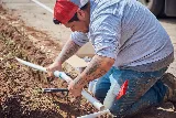 Lawn Care Solutions photo 2