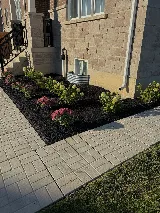 M Landscaping Ltd. photo 5