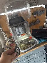 KeySure Locksmith photo 7