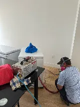 Pestro Pest Control photo 5